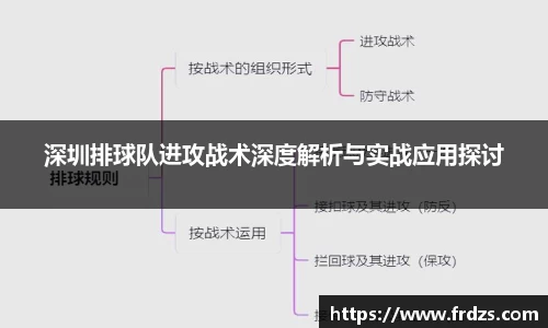 深圳排球队进攻战术深度解析与实战应用探讨